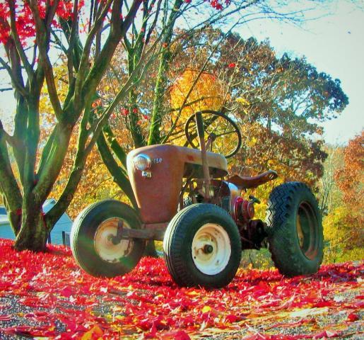 post-3498-0-89592400-1418682161_thumb.jp