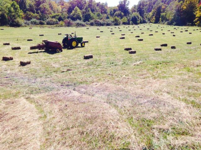 post-6085-0-13977000-1420031283_thumb.jp