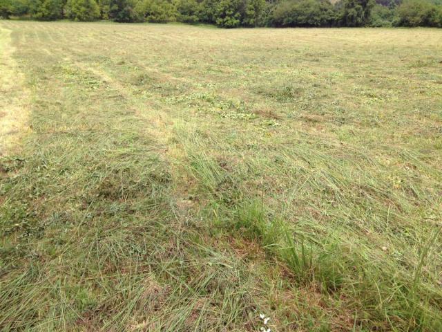 post-6085-0-44749000-1420031130_thumb.jp