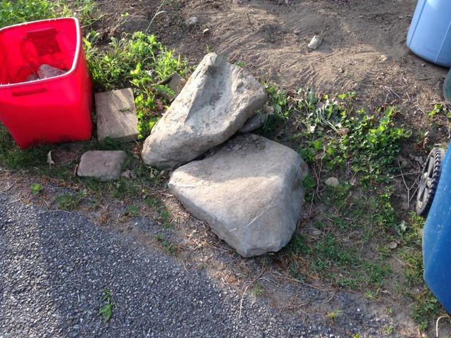 1_fence_4.thumb.JPG.a097198857a2d0e02846