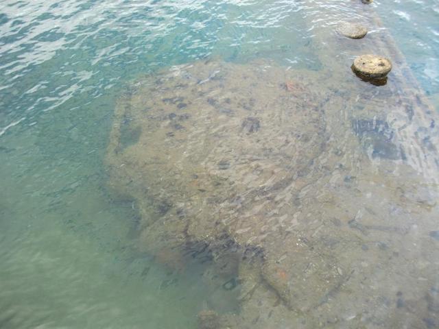 Arizona Memorial 023.JPG