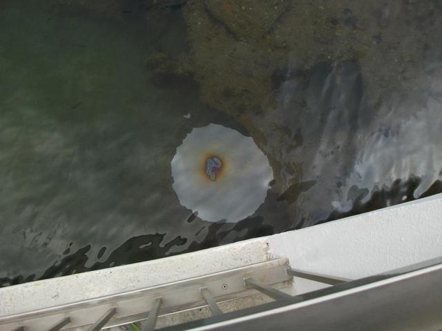 Arizona Memorial 024.JPG