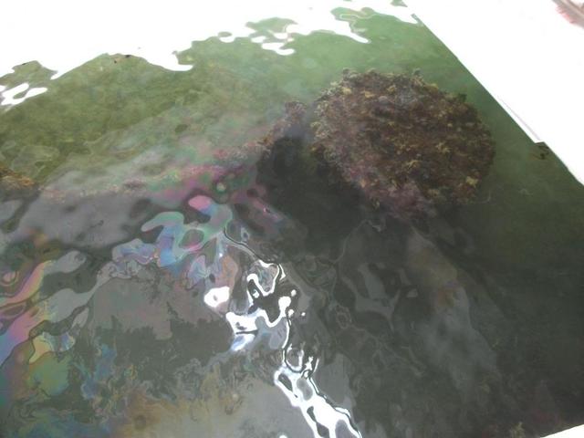 Arizona Memorial 025.JPG