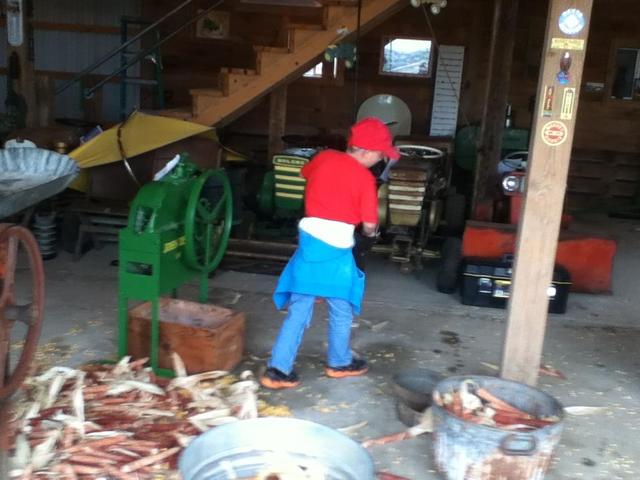 IMG_2265.thumb.JPG.f04e0d6144f42a98f8331