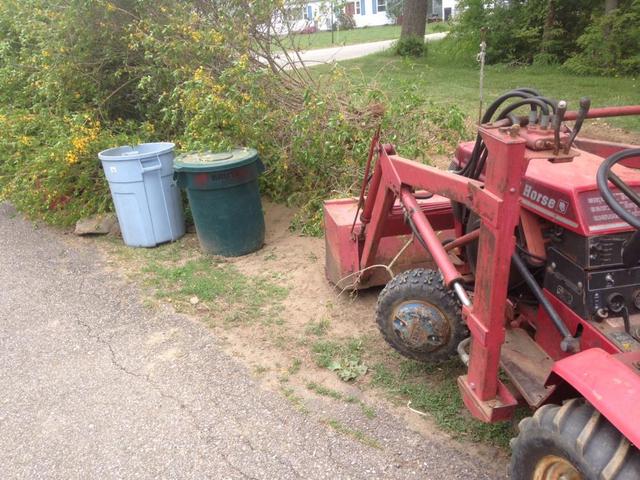 full_bush_pulled.thumb.JPG.b2bb28d18cf51