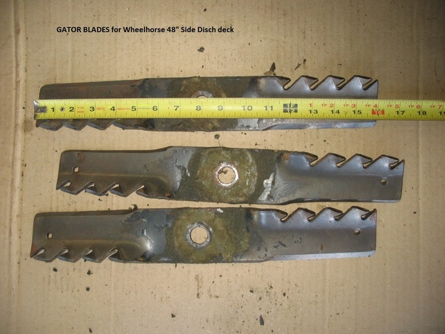 48_gator_(5).thumb.JPG.25493faea6e0284d0