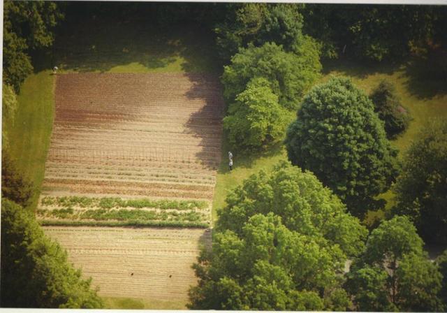 Aerial 2 Summer 96.jpg