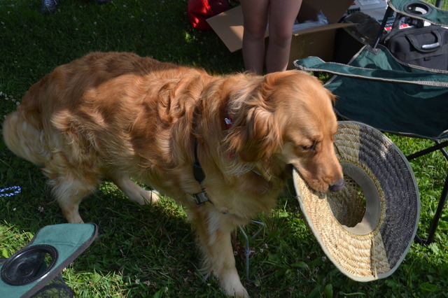 DSC_0216.thumb.JPG.f26a8858f0ccffaf5a32b