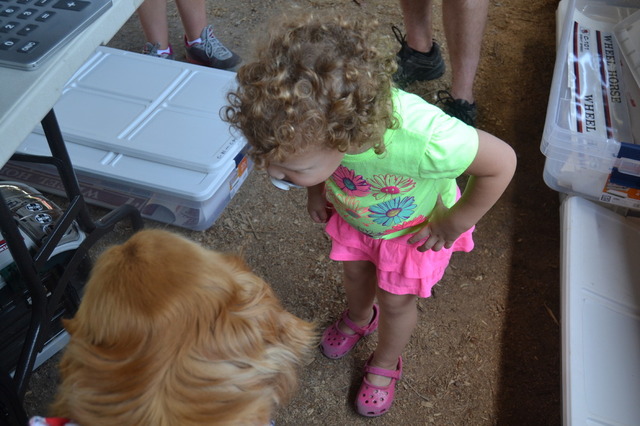 DSC_0277.thumb.JPG.7aef1ac57155505f2e967