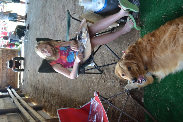 DSC_0284.thumb.JPG.d5ddc12844efba9021753