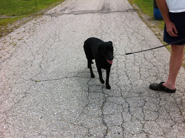 WHCC_2015_pics_002.thumb.JPG.2bb908e86eb