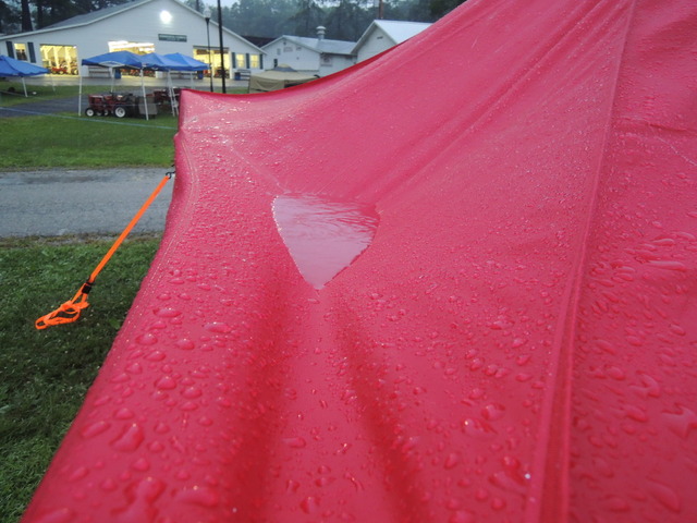 canopy-sag2.thumb.jpg.ca0406abe1c65ab052