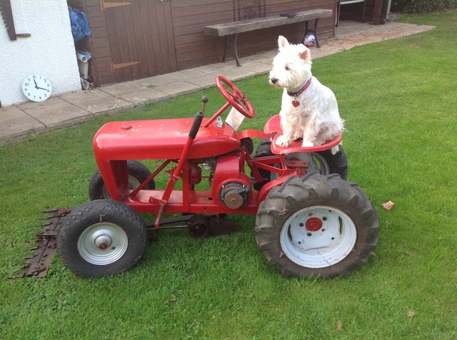 image.thumb.jpg.4f828402e0487a217d879235