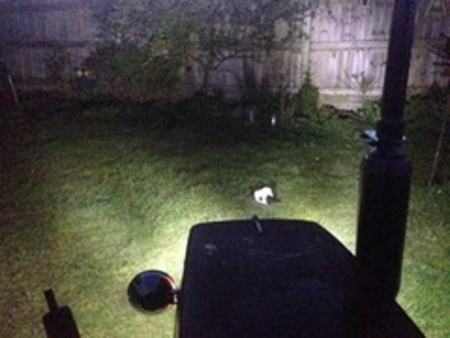 LED lights work a treat