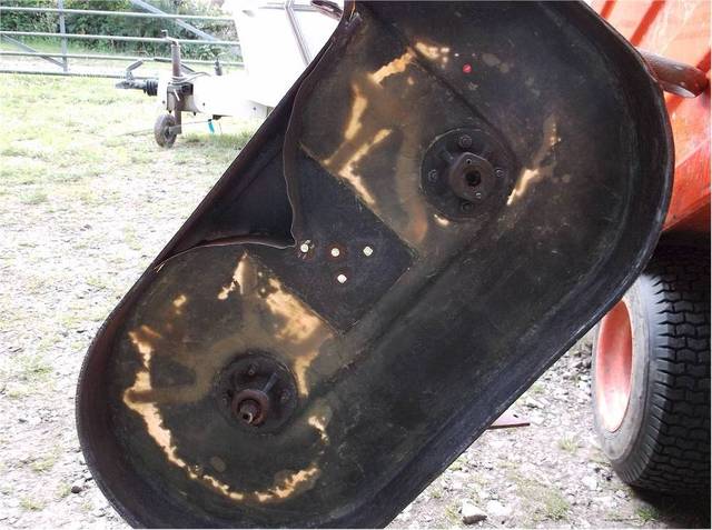 14.thumb.jpg.e7980c9161a943a96d8b5075b4a