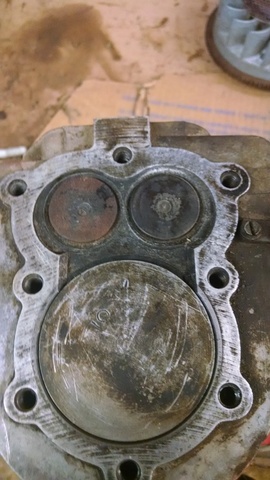 14371424828111557007427.thumb.jpg.4f1d49