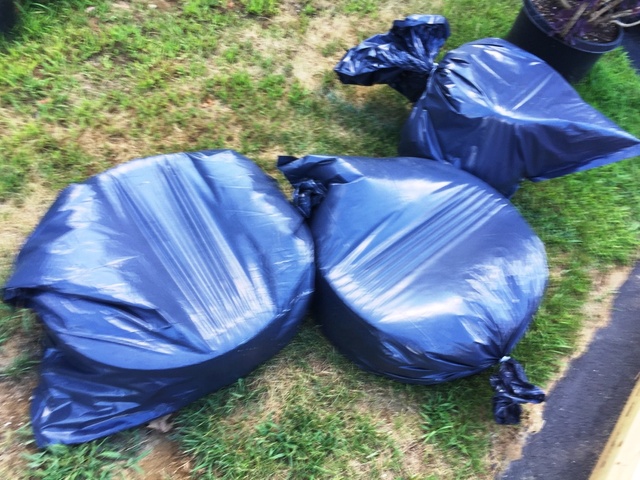 Bagged with RyGlide.jpg