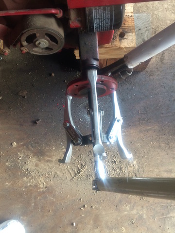 IMG_1344.thumb.jpg.a2817b68d597139c57370