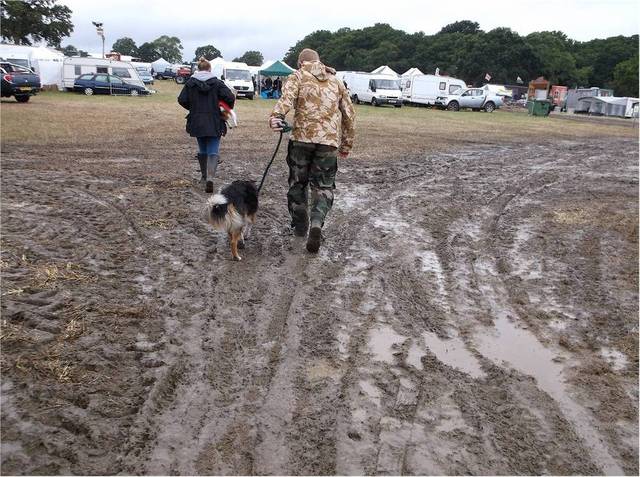 NMD.thumb.jpg.f10fb3eae39e6c8fc466646157