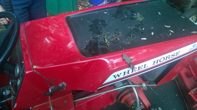 WP_20150709_001.thumb.jpg.7f4f9e9f9b1ada