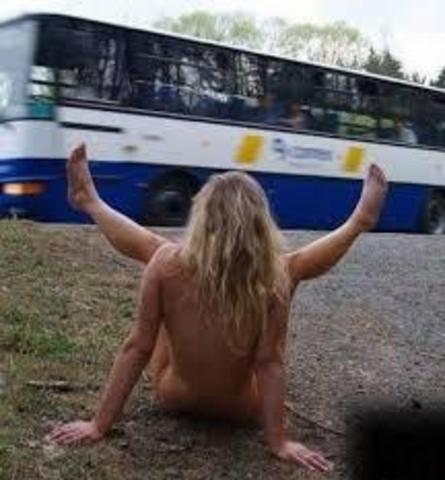 bus_2.thumb.jpg.3de0e1eb7345b5fa4954fe30