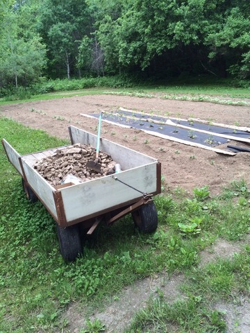 image.thumb.jpg.30346f0c6ee49657dffb36b1