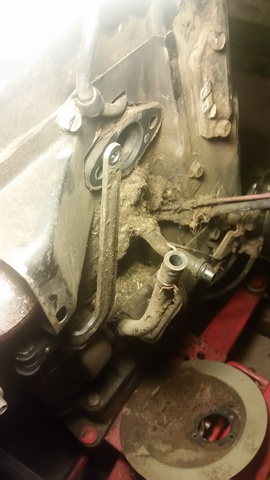 20150806_202428.jpg.663f417c9918a13d114c