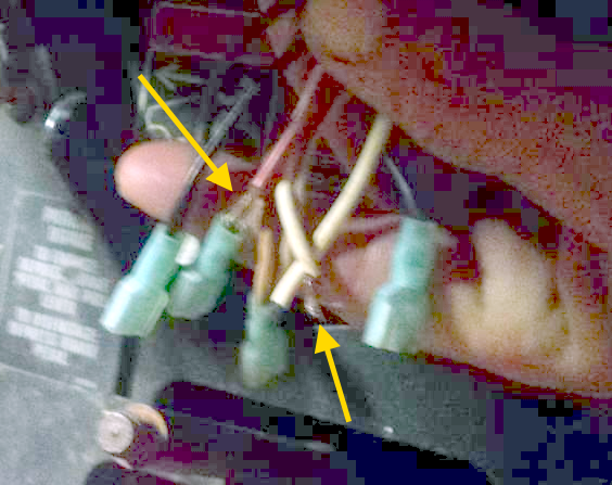 314 ign wire dfrance.png