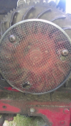 IMAG0493_(361x640).thumb.jpg.650b166fd08