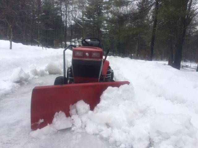 IMG_0294_copy.thumb.jpeg.ce246cc940df4cc