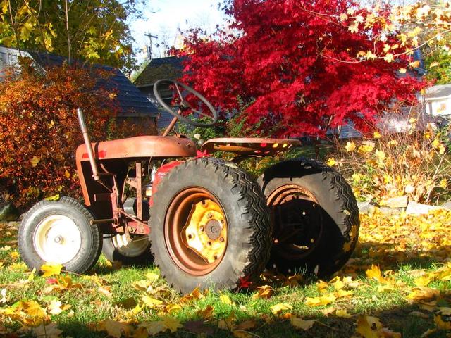 IMG_2663.thumb.JPG.1ad5a6b48dd19e609440d