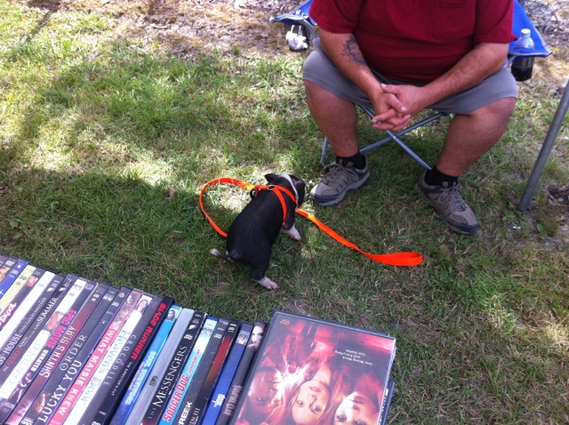 Steam_pageant_day_2_2015_010.JPG.888d7f9