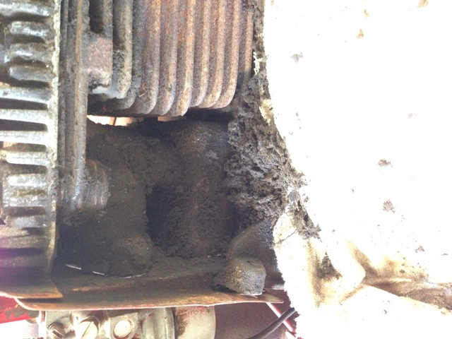 image.jpg.ea072779a96b82d0c3a9f79a629abe