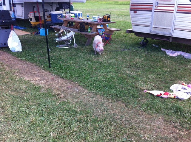 steam_pageant_set_up_day_006.thumb.JPG.4