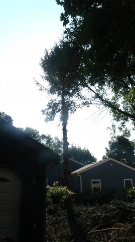 2015_0830LaSueur0004.thumb.JPG.fdf4ad0be