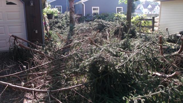 2015_0830LaSueur0005.thumb.JPG.872e20951