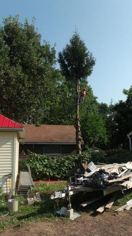 2015_0830LaSueur0006.thumb.JPG.42a93ac17