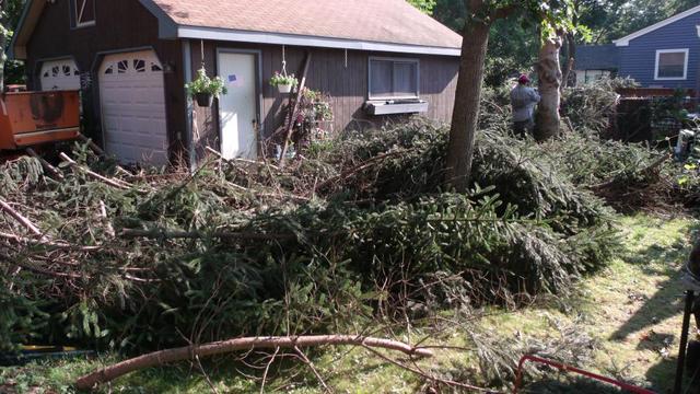 2015_0830LaSueur0007.thumb.JPG.04e1d311b