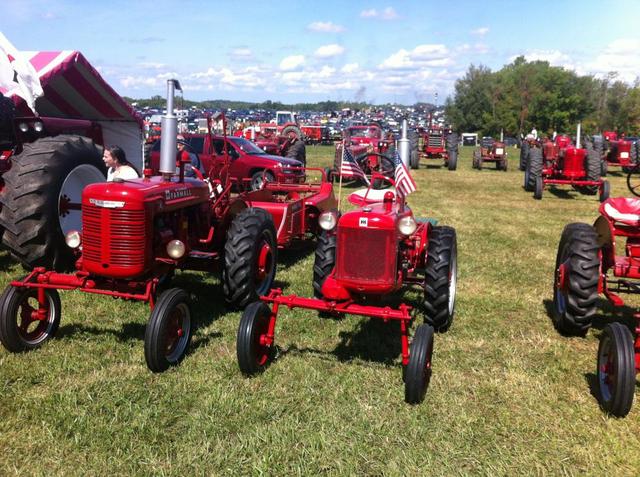 Alex_commando_001.thumb.JPG.71968003d4b0