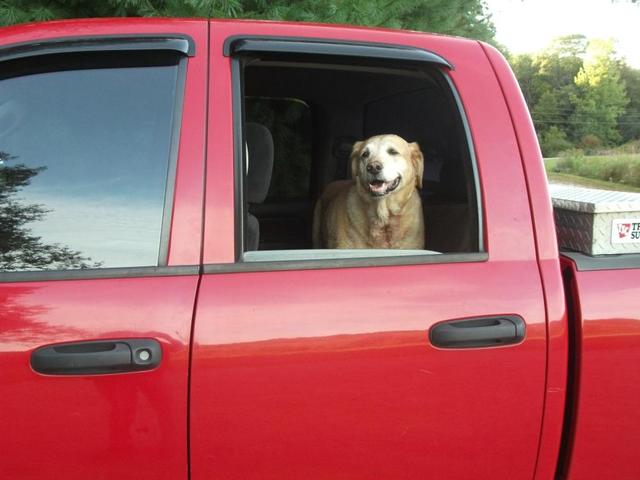 Dusty_Sept_2015_014.thumb.JPG.0bb053ff29