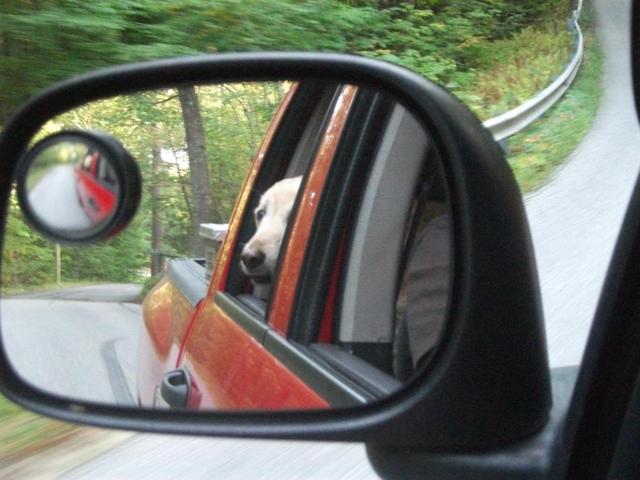 Dusty_Sept_2015_018.thumb.JPG.d15eb159fd