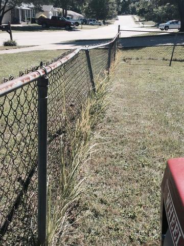 FullSizeRender (5).jpg