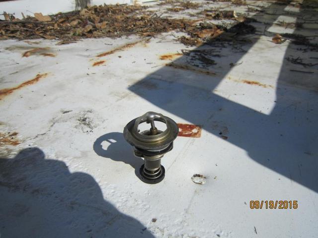 IMG_0171.thumb.JPG.fd8656be801033f5fe348