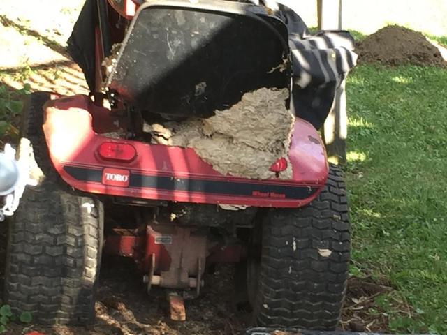 IMG_1273.thumb.jpg.9c7aec076bba219c29d57