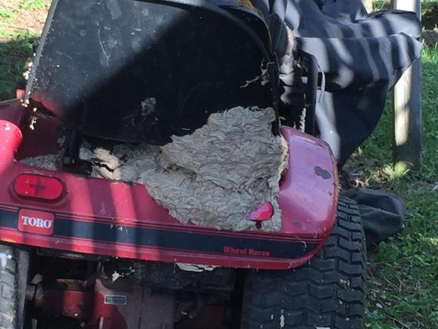 IMG_1274.thumb.jpg.2153d45927f25f397b9cc