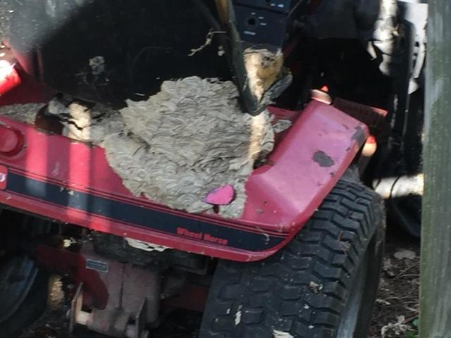 IMG_1275.thumb.jpg.d724bf6d2bd7bb7cd7ad4