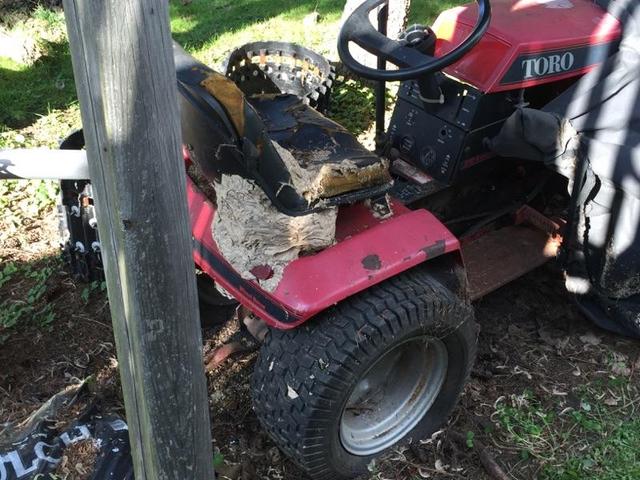 IMG_1276.thumb.jpg.c63004945cf055574236e