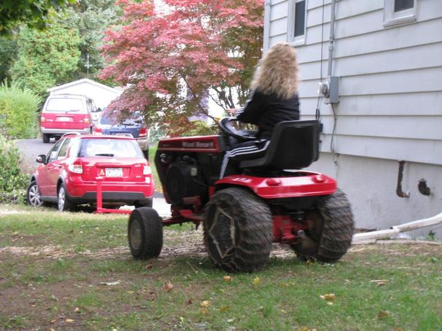 Picture_1733.thumb.jpg.19813b551fdeb4a34