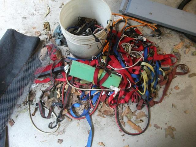 Strap_Pile_001.thumb.JPG.62f5511f04c3853