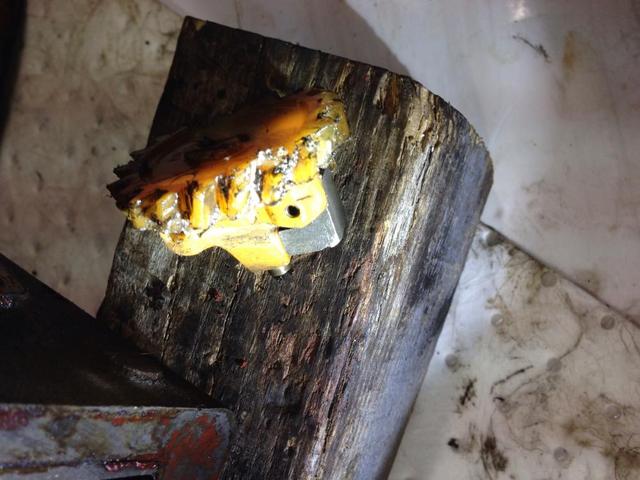 image.thumb.jpg.c4abed66eac259a5c440cf7d